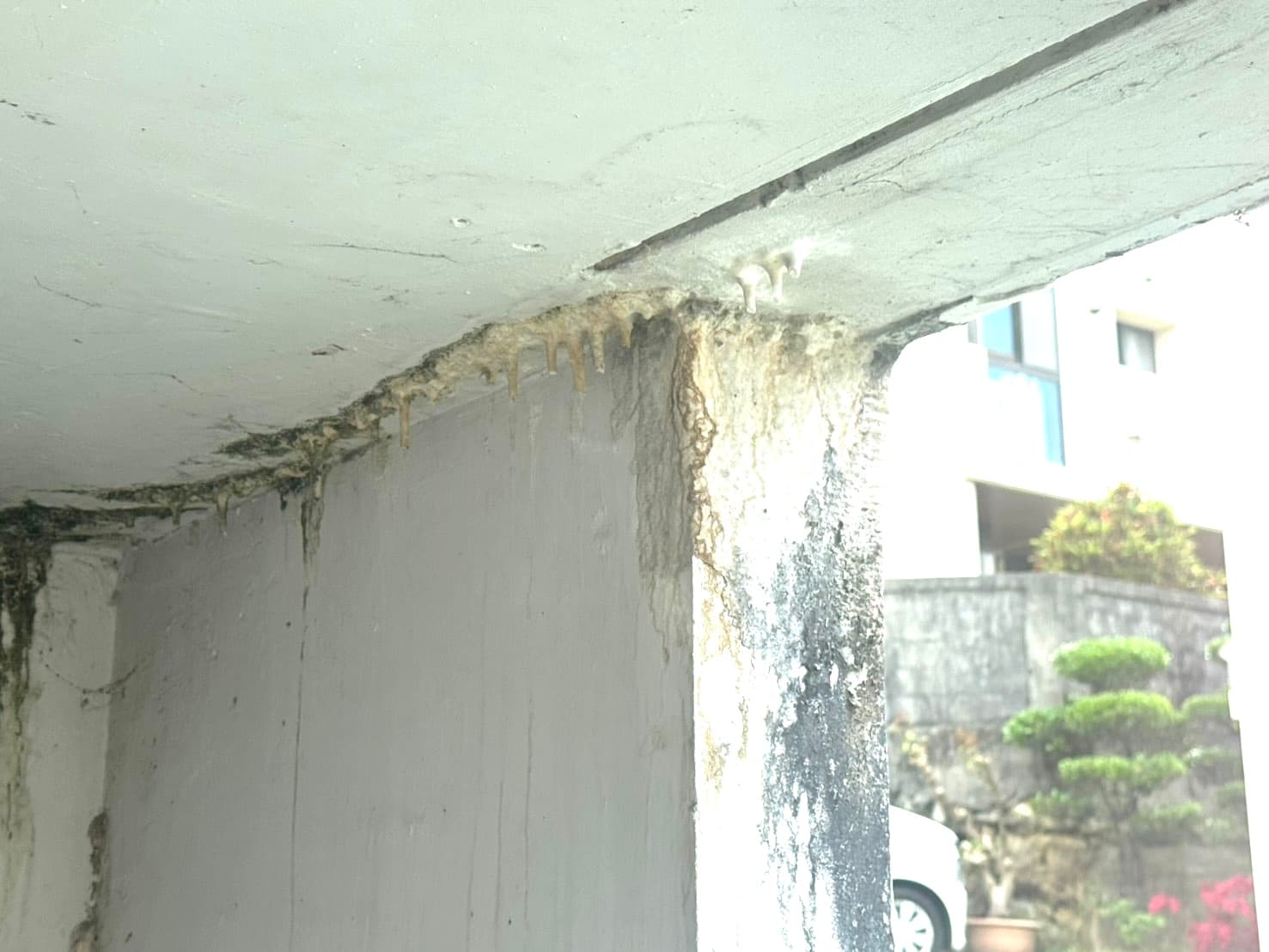 雨漏り・漏水の跡が残る壁