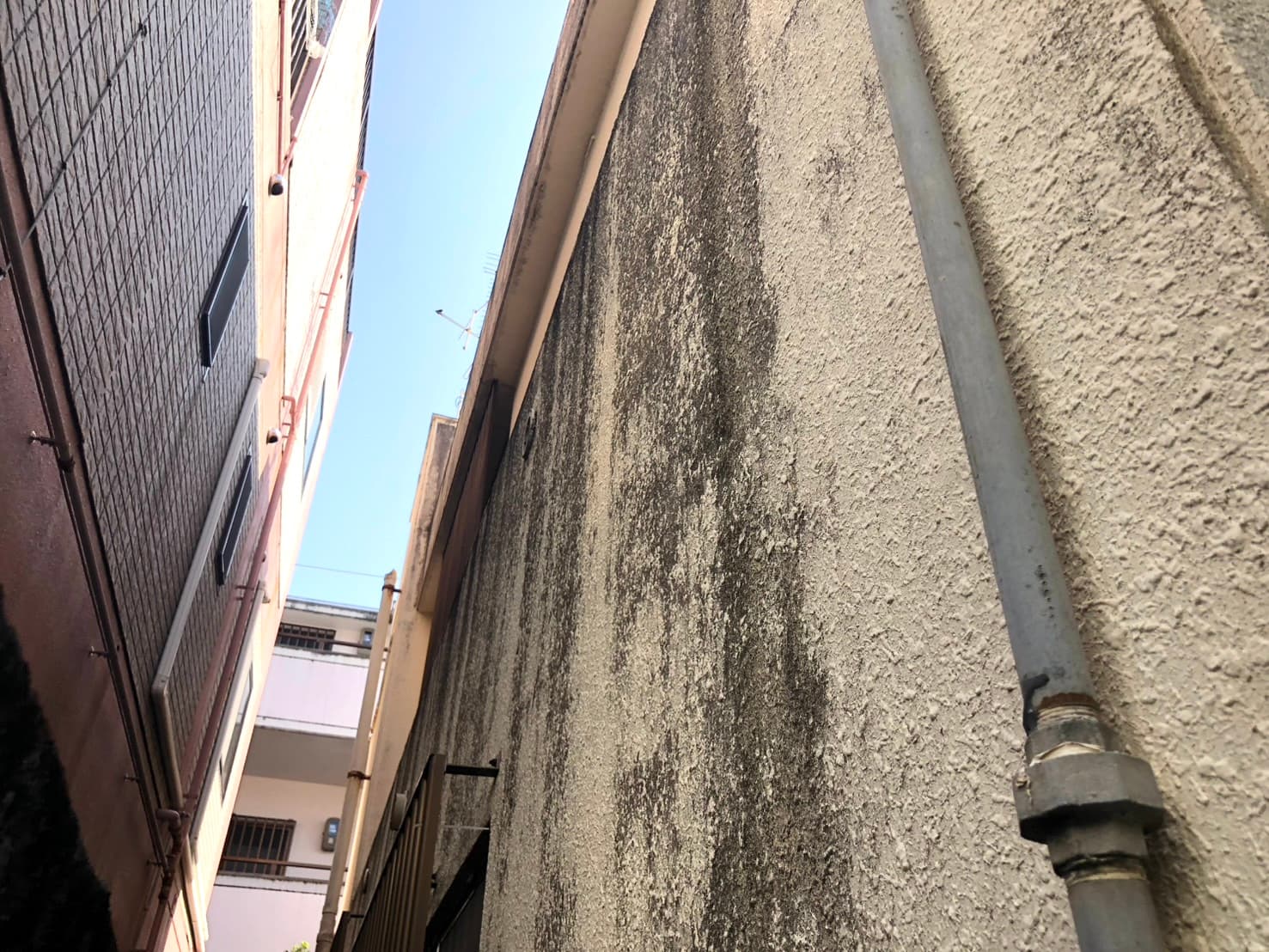 汚れとカビが目立つ外壁